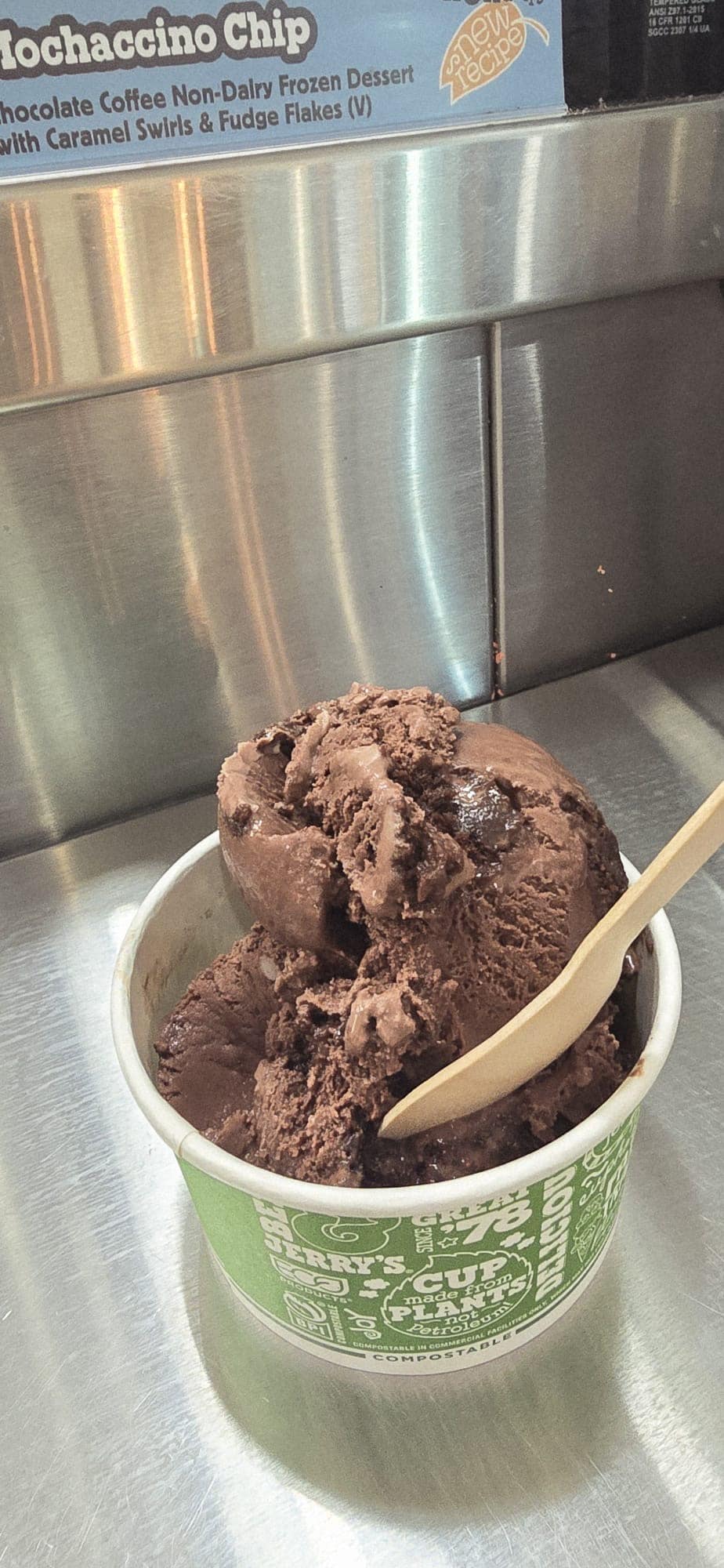 Triple Chocolate fudge ice cream ben & jerry's ben
