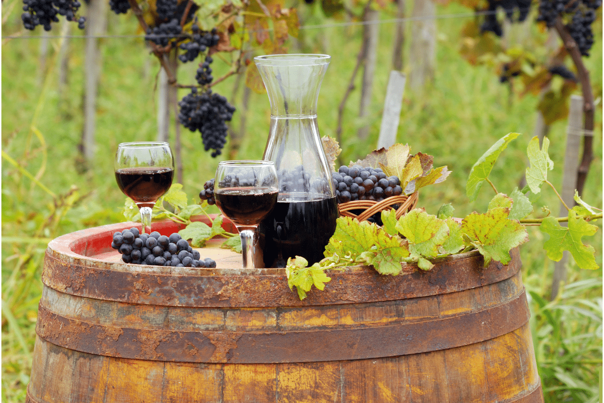 best wine U.S best wine U.S
