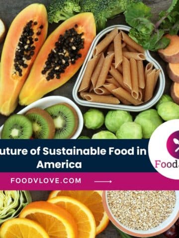 Sustainable Food US