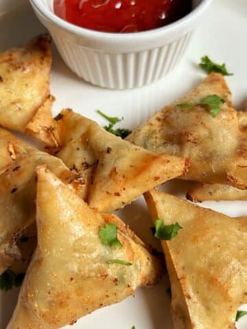 chicken malai boti samosa