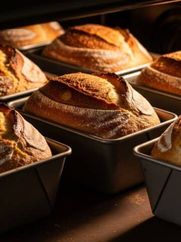 white_bread_featured