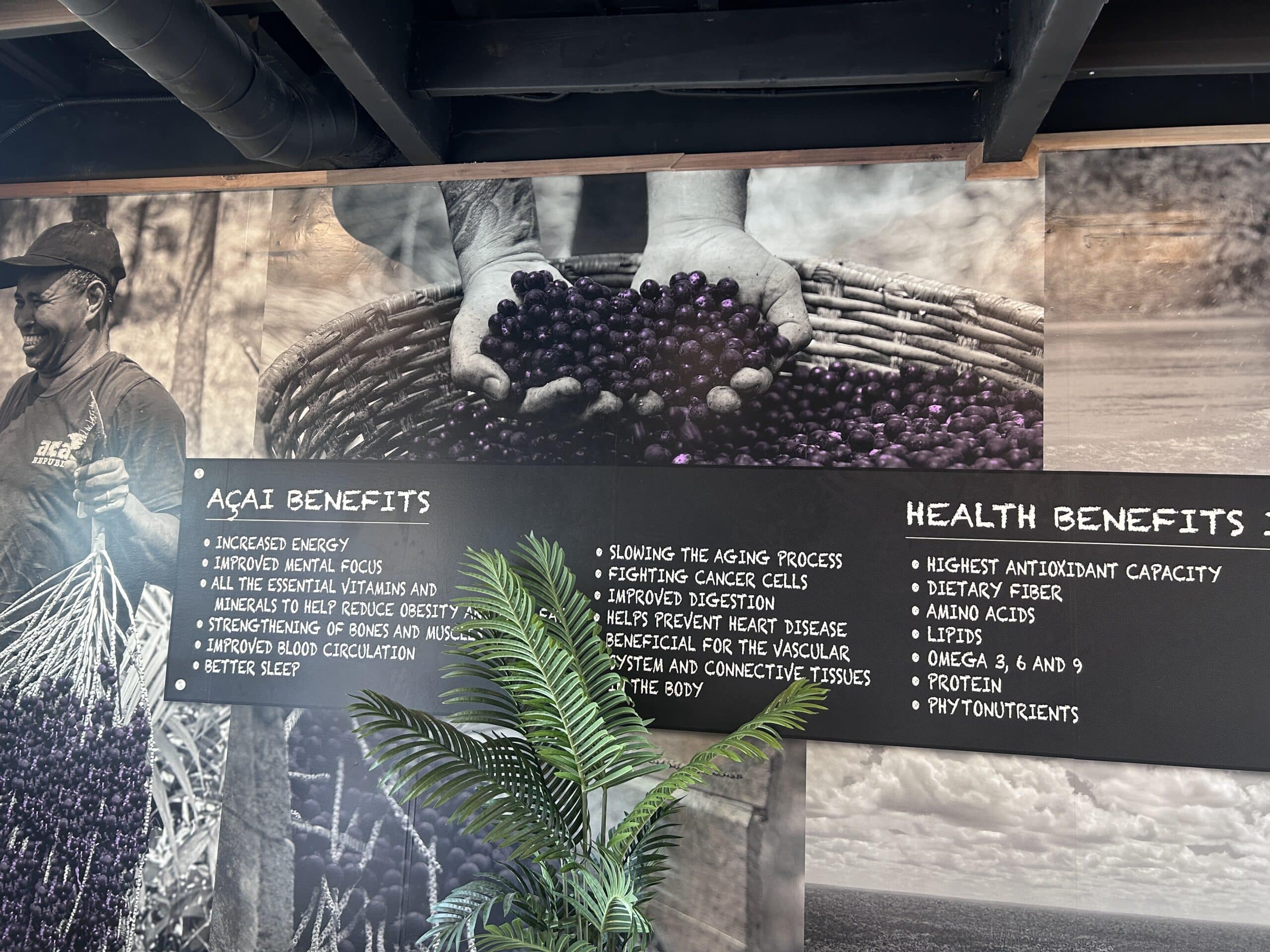 Acai Republic Oceanside Menu & Prices