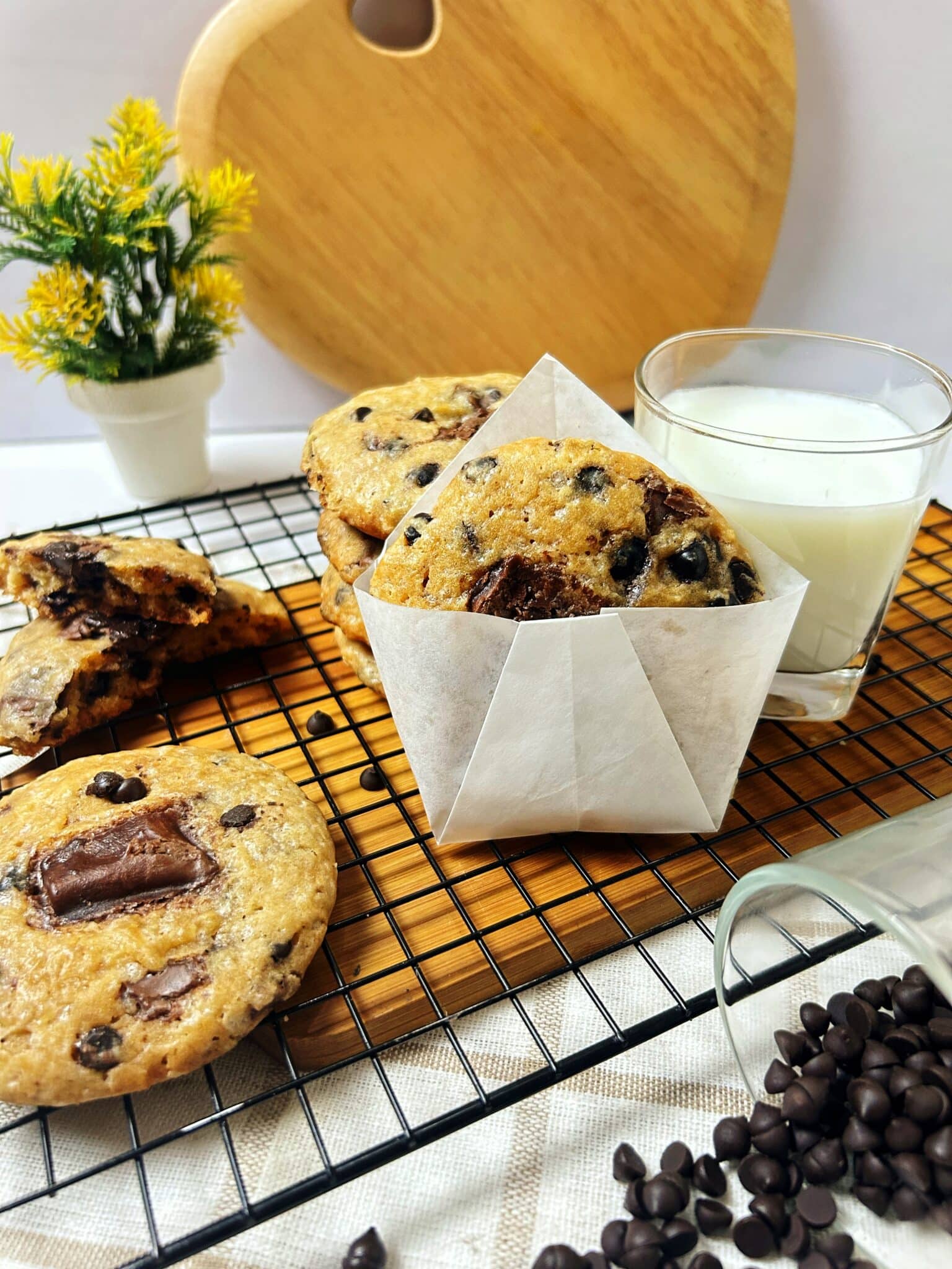 chcoolate chip cookies