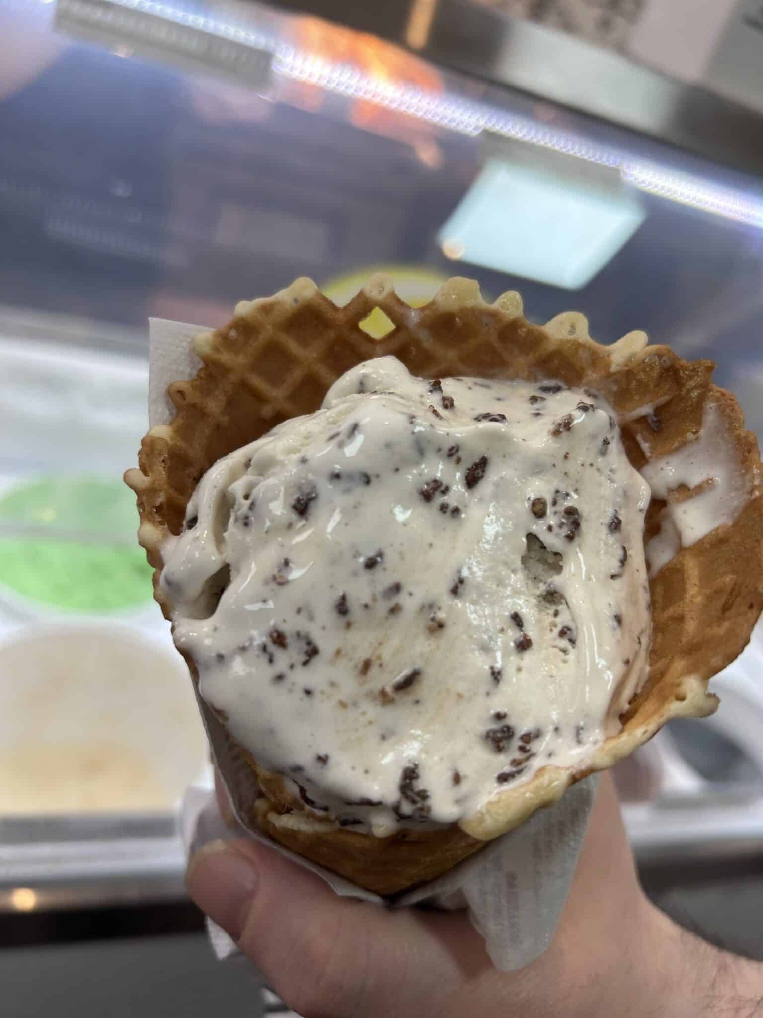 Toasted Coconut Ice Cream