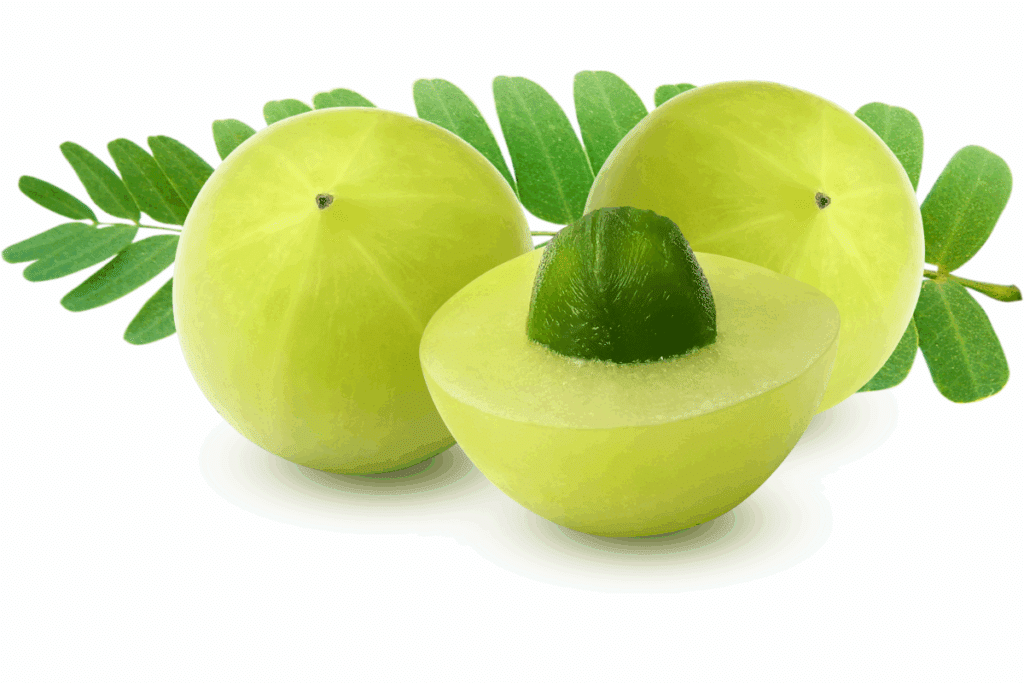 food that start with the letter I: :Indian Gooseberry