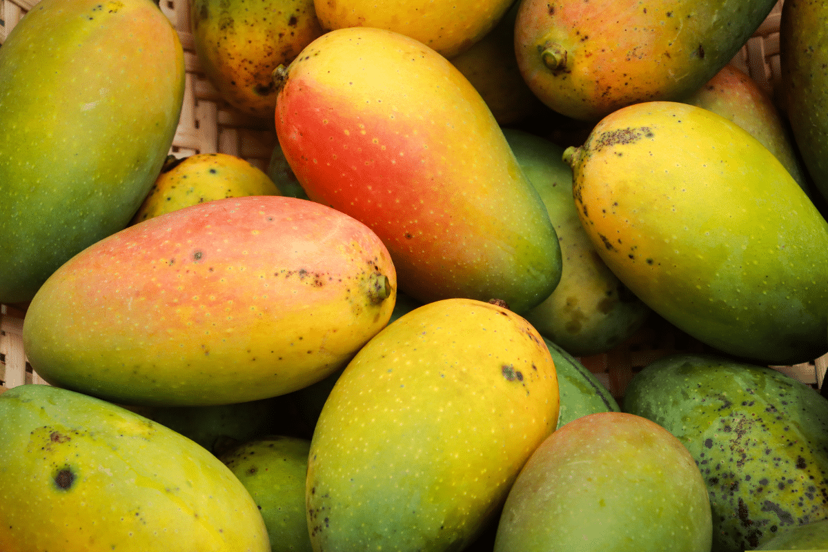 what is a food that starts with the letter I: Indian mango