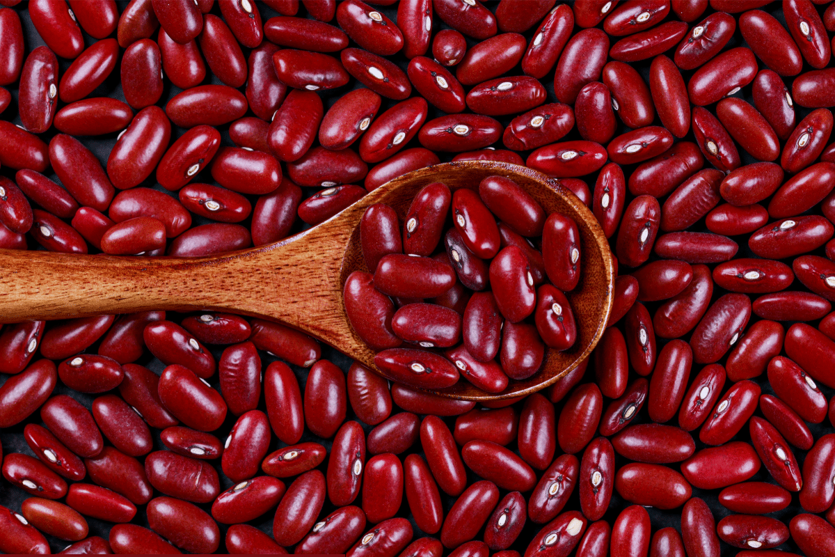 Foods That Start With I: Italian Beans