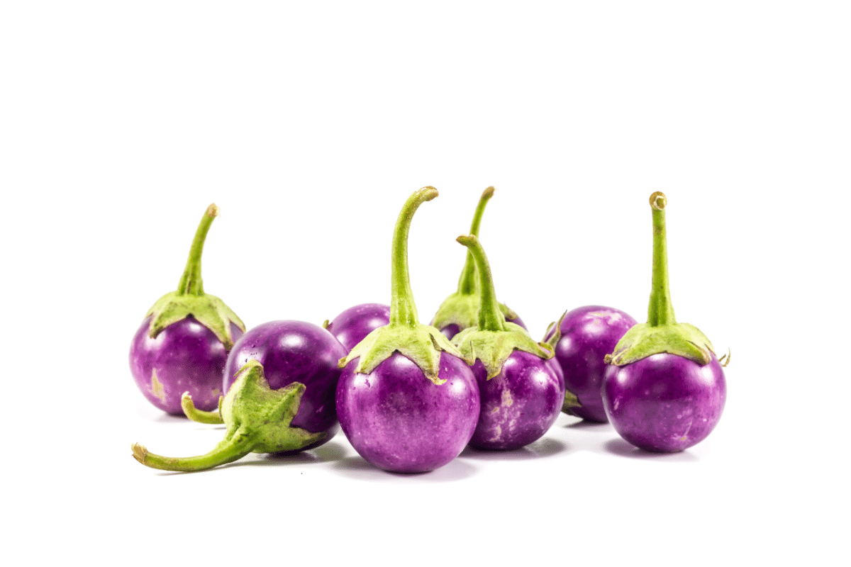 healthy foods that start with the letter I: Indonesian Eggplant