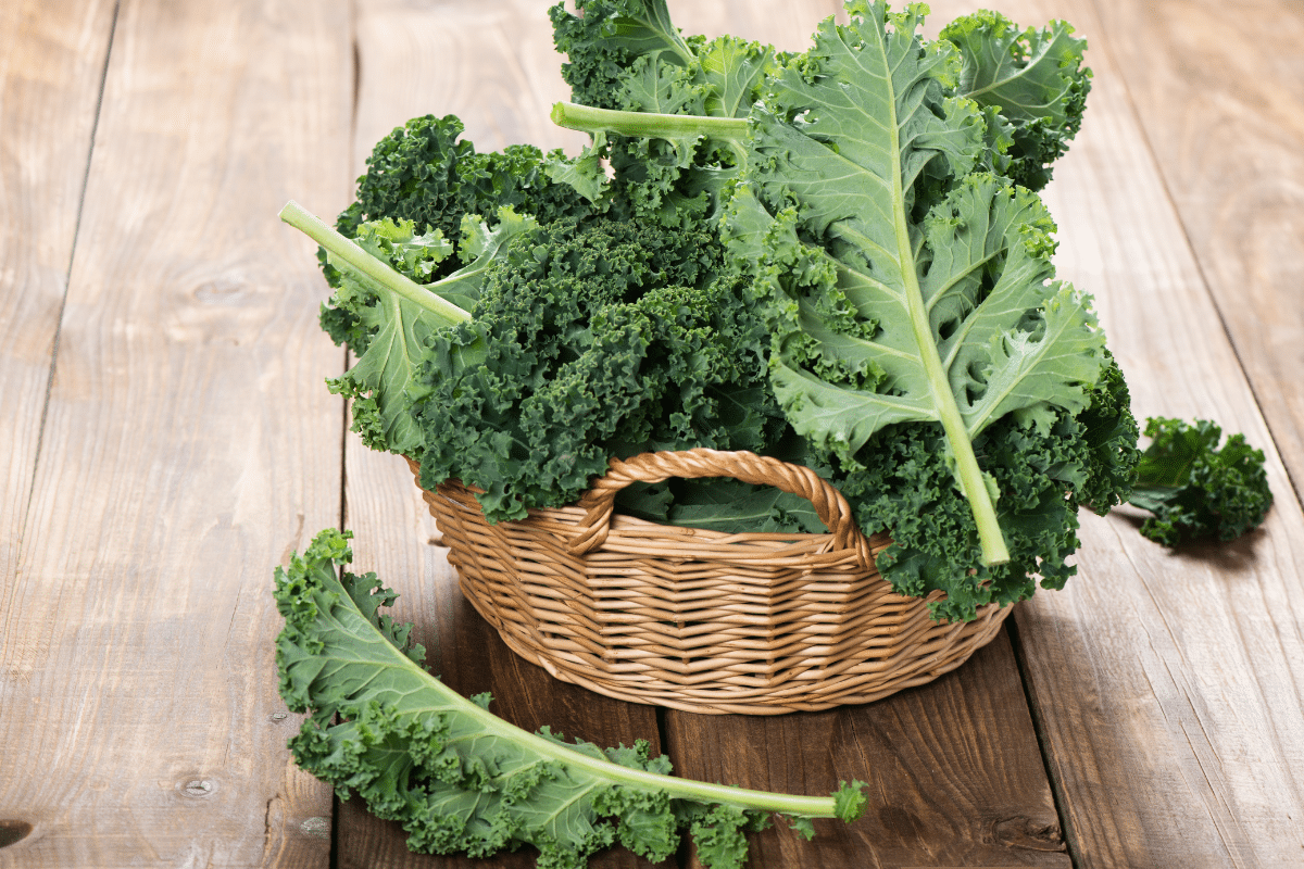 foods that start with I: Italian Kale