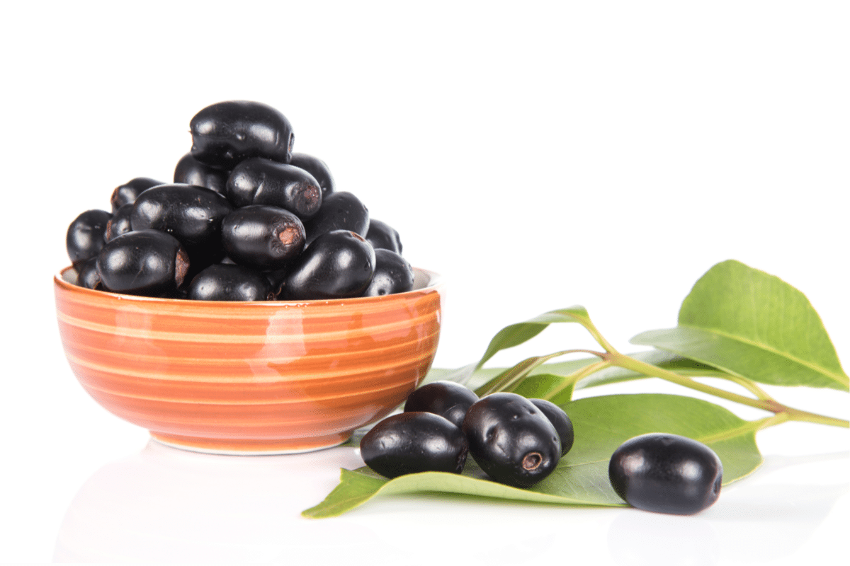 Fruits That Start With J: Jamun