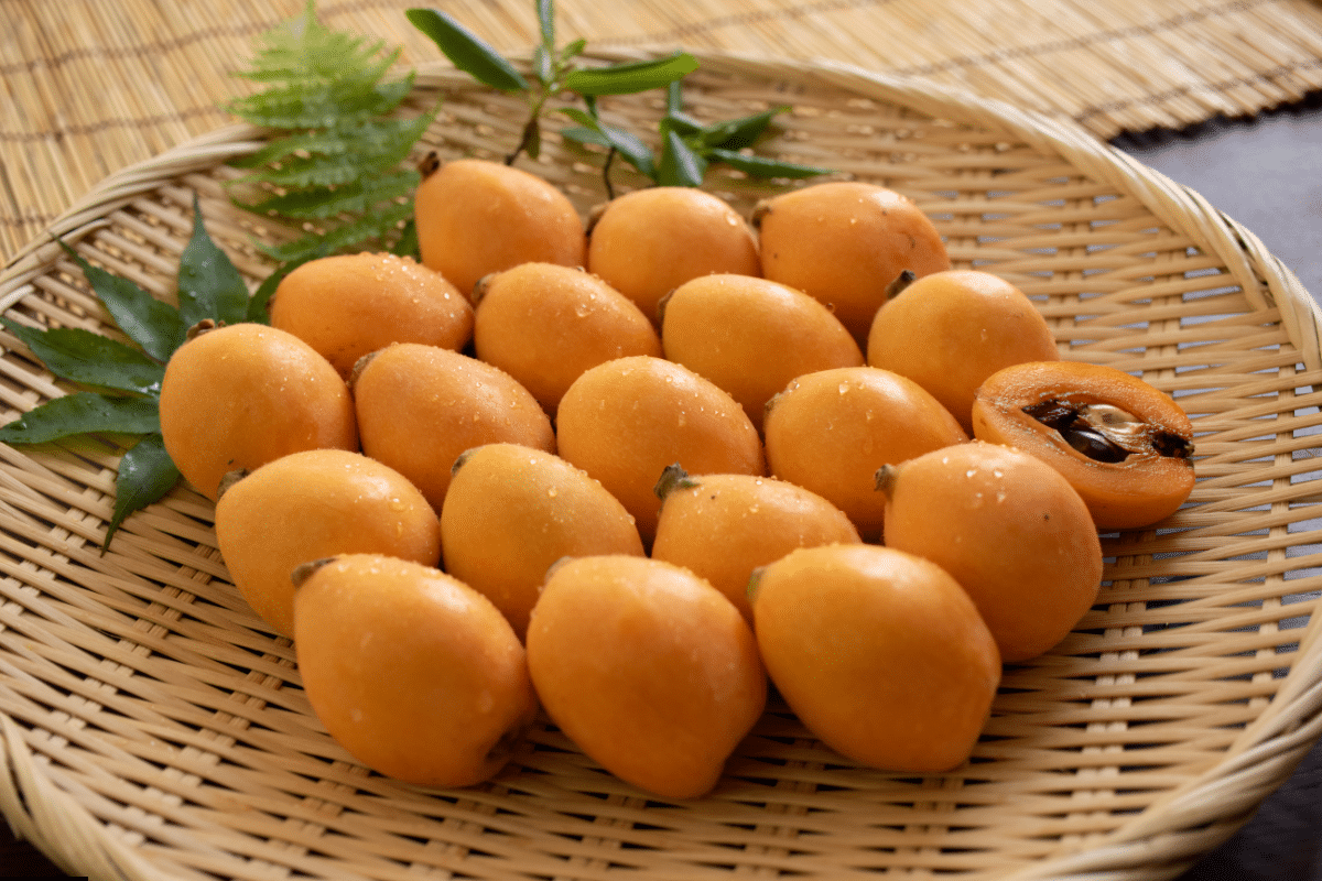 Fruits That Start With J: Japanese Plums