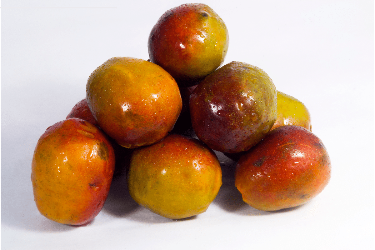 Fruits That Start With J: Jocote