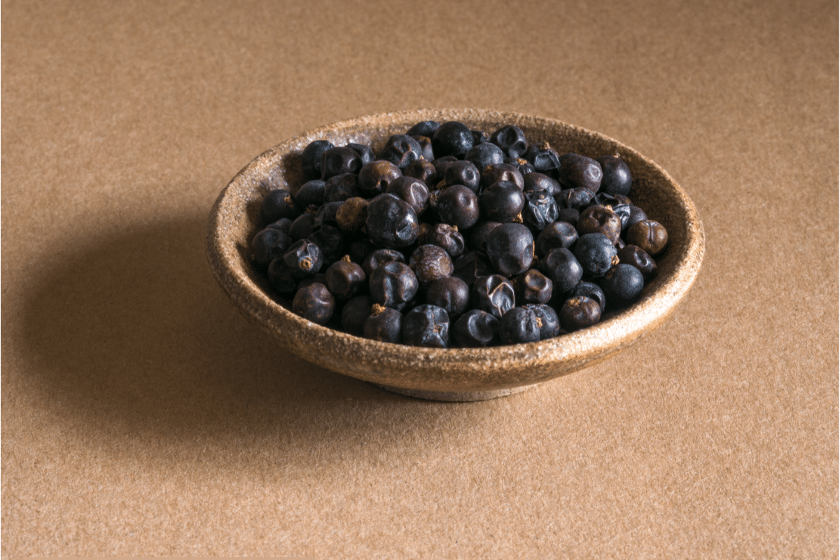 Fruits That Start With J: Juniper Berries